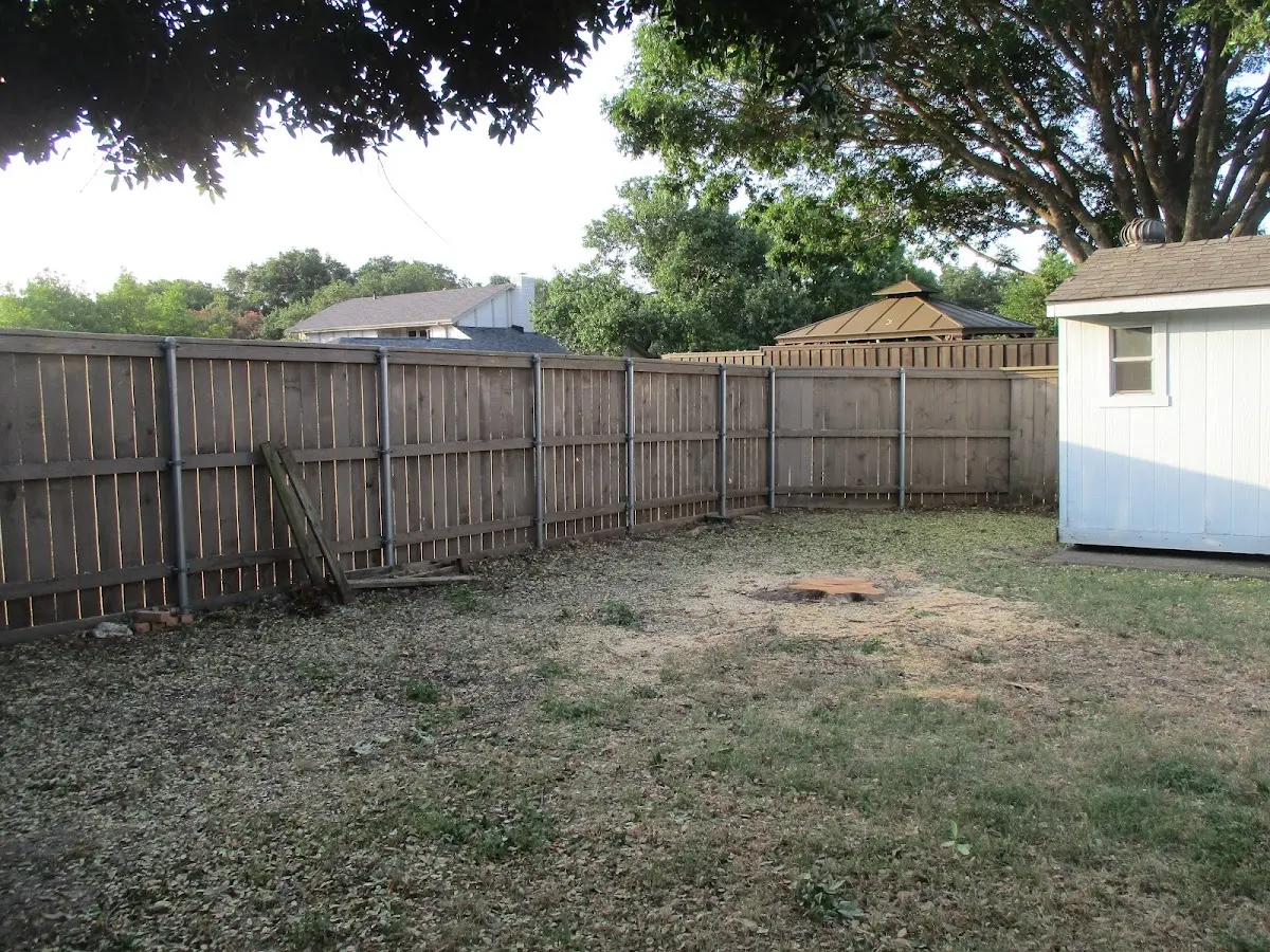 Cleared yard after professional tree removal in Arjay